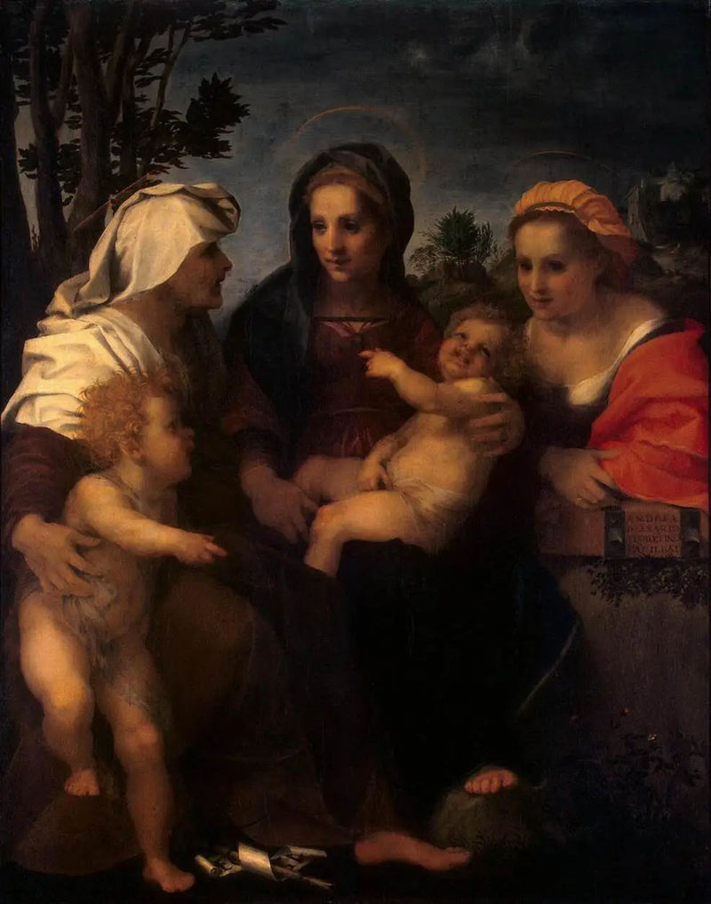 Die Jungfrau mit dem Kind mit der heiligen Katharina, der heiligen Elisabeth und dem heiligen Johannes dem Täufer - Andrea del Sarto