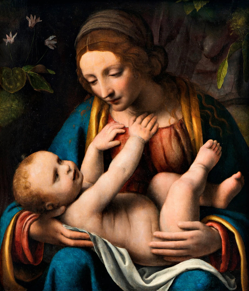 Die Jungfrau mit dem Kind - Bernardino Luini