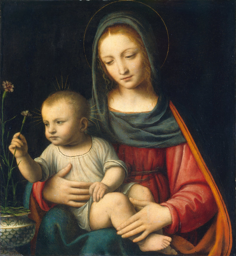 Die Jungfrau mit Nelke - Bernardino Luini