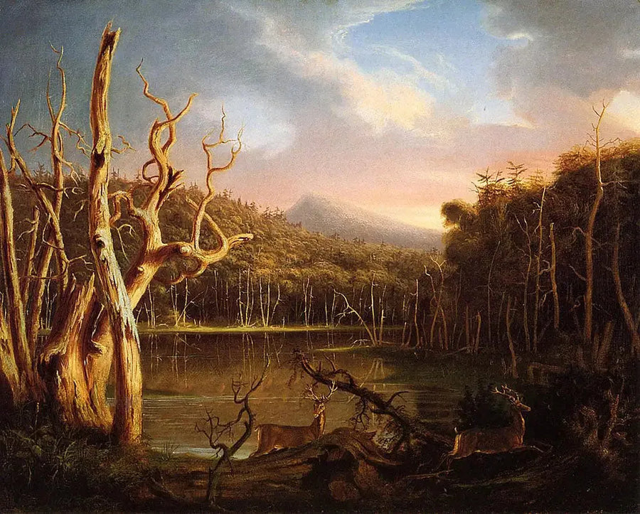 See-See mit toten Bäumen - Thomas Cole