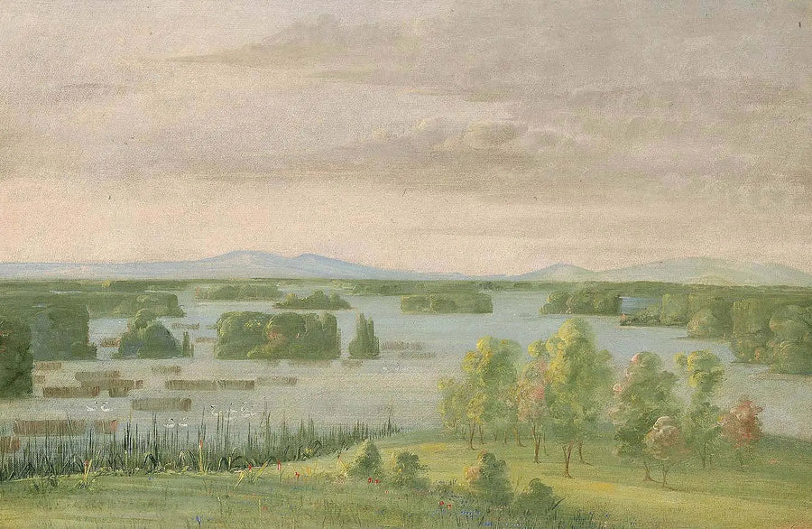 Schwanensee (Lac des Cygnes), in der Nähe des Coteau des Prairies - George Catlin