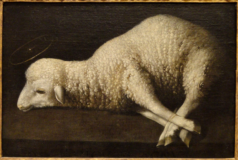 Das Lamm Gottes - Francisco de Zurbarán