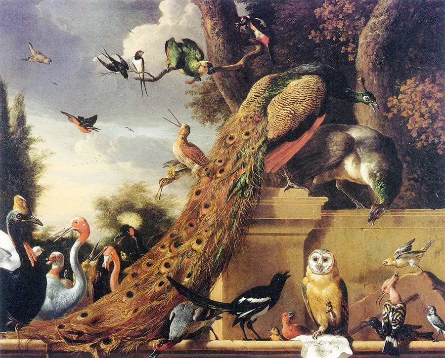 Langh hat Den Koningh verlassen, oder das Konzert der Vögel - Melchior de Hondecoeter