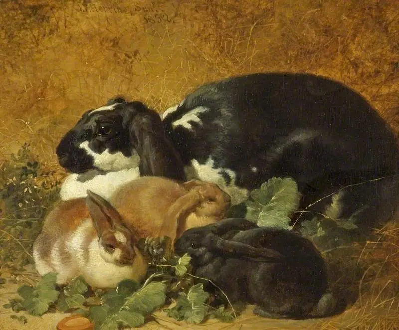 Hasen - John Frederick Herring, Sr.