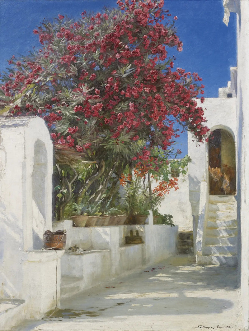 Rosenlorbeer in Blüte, Capri - Peder Severin Krøyer