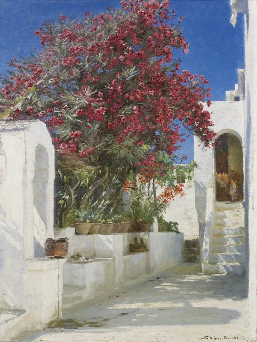 Rosenlorbeer in Blüte, Capri - Peder Severin Krøyer