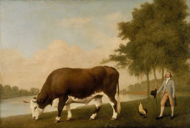 Der Rind aus Lincolnshire - George Stubbs