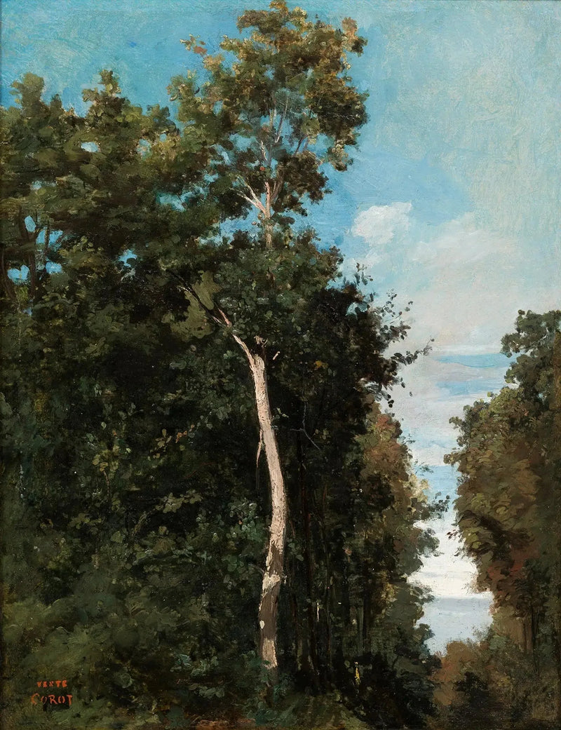 Das Holz an der Küste von Grâce in Honfleur - Jean-Baptiste Camille Corot