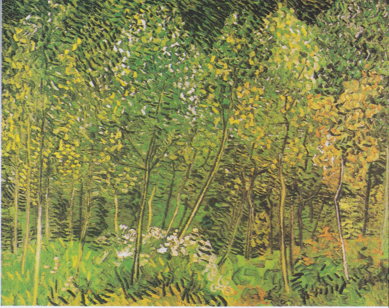 Der Hain - Vincent van Gogh