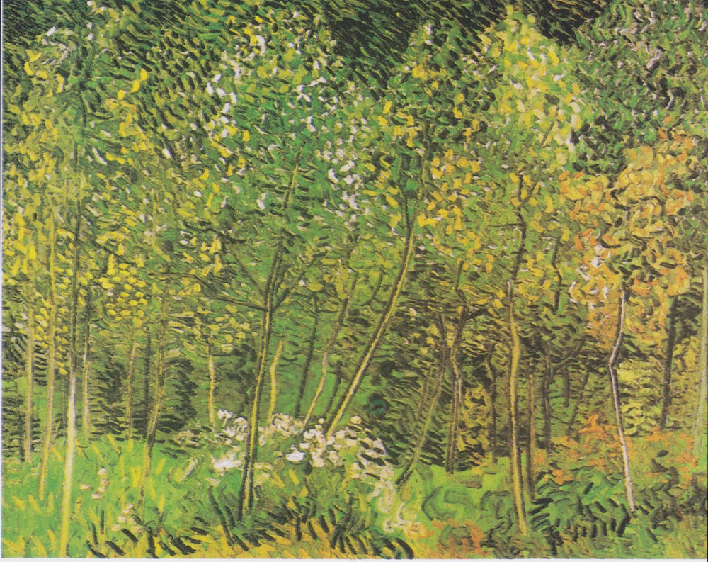 Le Bosquet - Vincent van Gogh image 1 reproduction d’œuvre d’art à l’huile