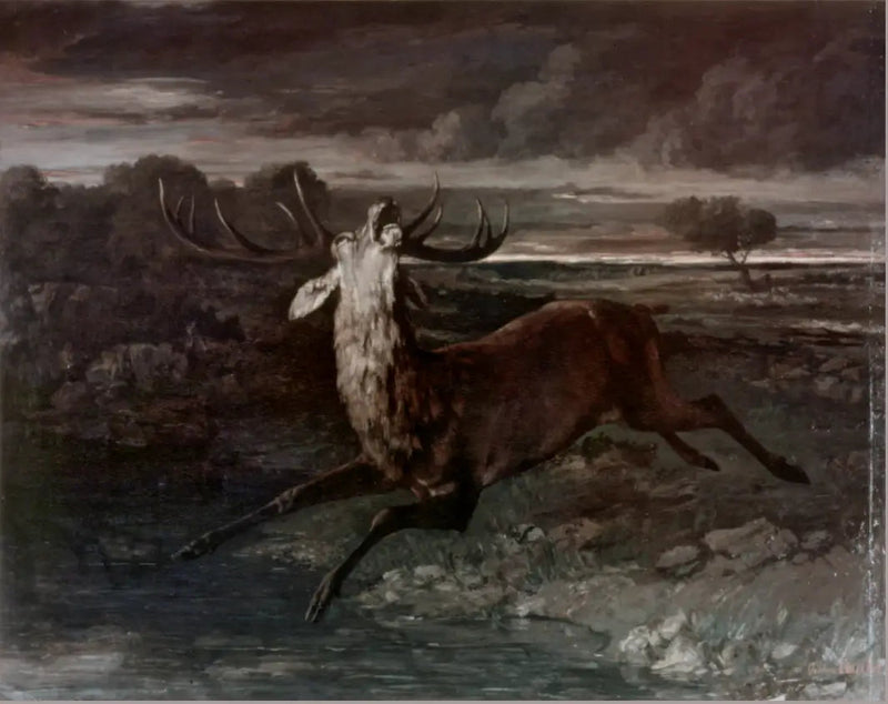 Der Hirsch am Wasser - Gustave Courbet