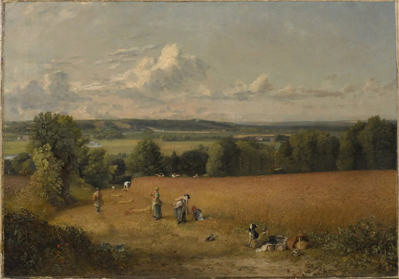 Das Weizenfeld - John Constable