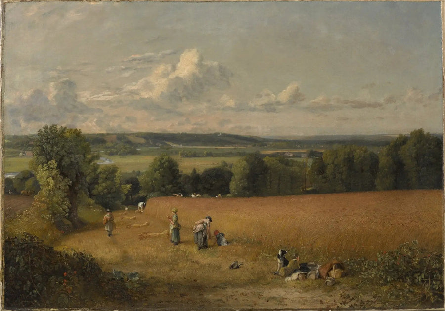 Das Weizenfeld - John Constable