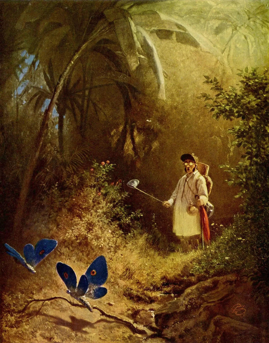 Der Schmetterlingsjäger - Carl Spitzweg