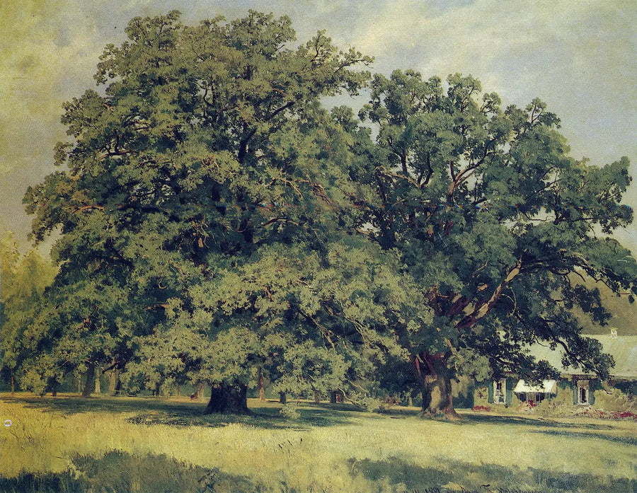 Die Eiche von Mordvinovo - Ivan Chichkine