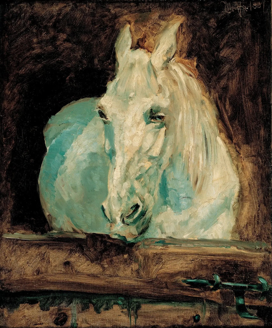 Das Weiße Pferd „Gazelle“ - Henri de Toulouse-Lautrec
