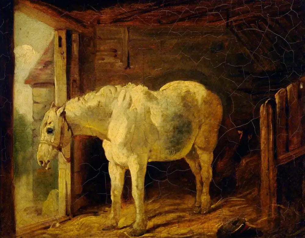 Le Cheval Blanc - John Frederick Herring, Sr. image 1 reproduction réalisée par Alpha Reproduction