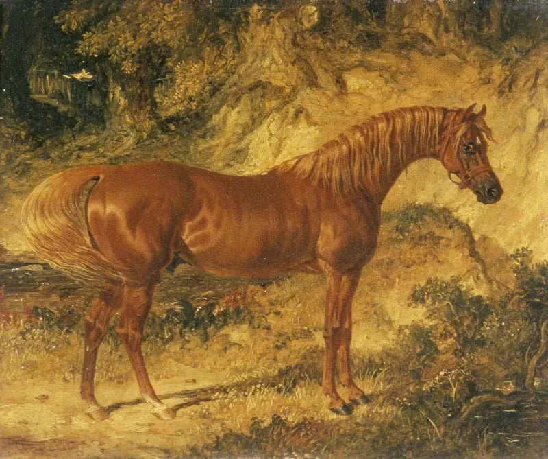 Das Rennpferd „Actéon“ - John Frederick Herring, Sr.