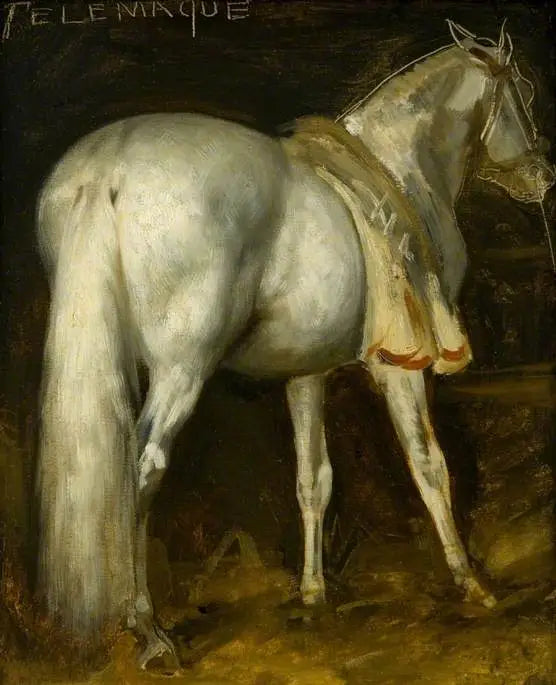 Das graue Pferd „Télémaque“ - Théodore Géricault