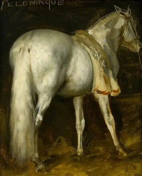 Das graue Pferd „Télémaque“ - Théodore Géricault
