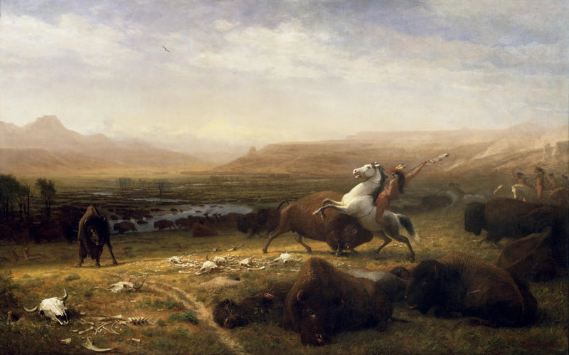 Der letzte Büffel 2.60 - Albert Bierstadt