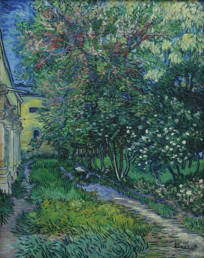 Der Garten der Anstalt von Saint-Rémy - Vincent van Gogh