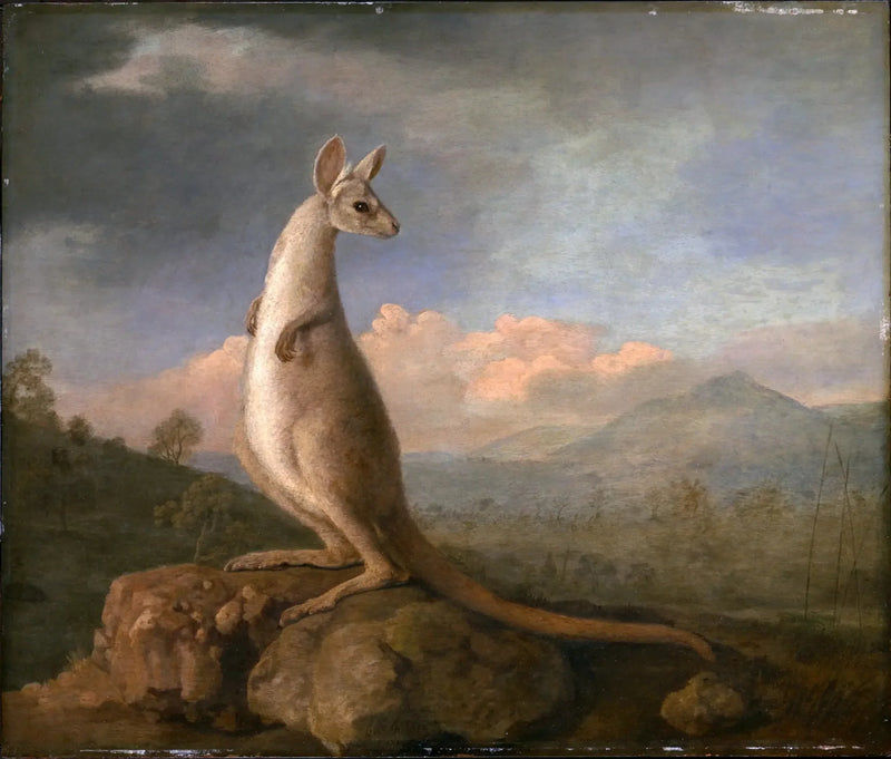 Der Kongouro von New Holland - George Stubbs