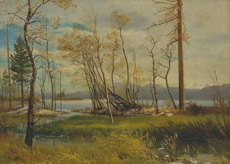 Der Tahoe-See - Albert Bierstadt