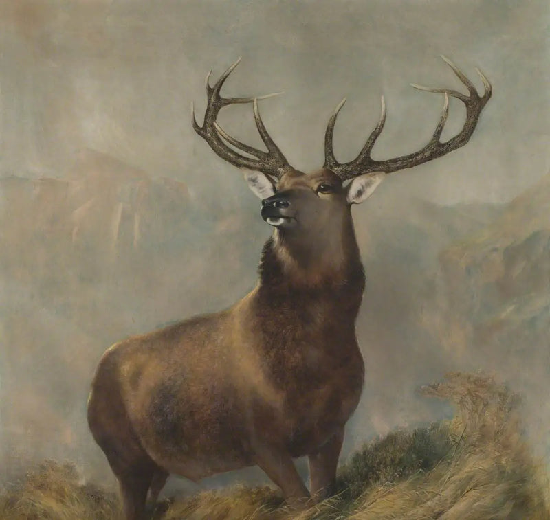 Der Monarch des Glen - Edwin Henry Landseer