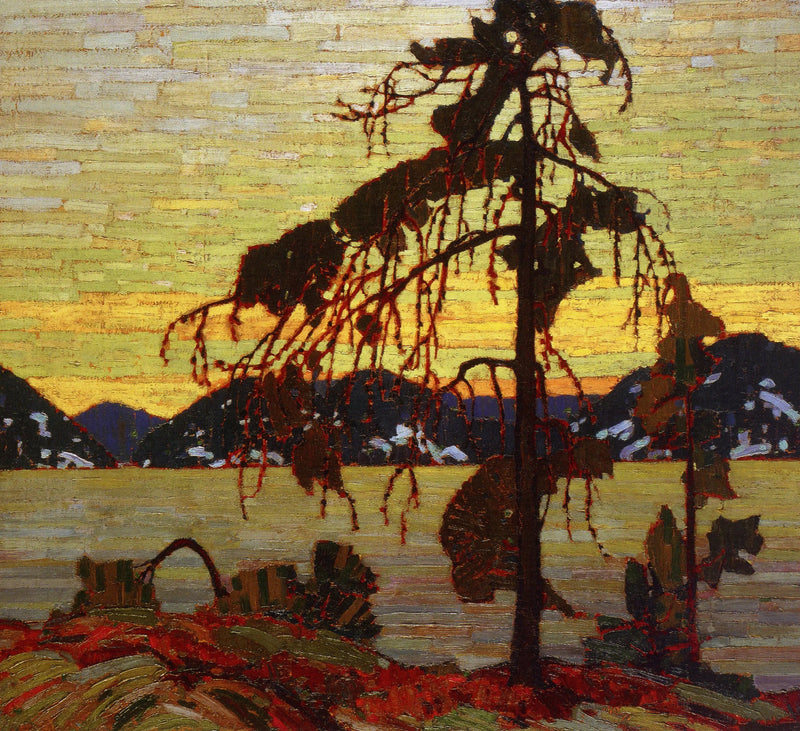 Die graue Kiefer - Tom Thomson