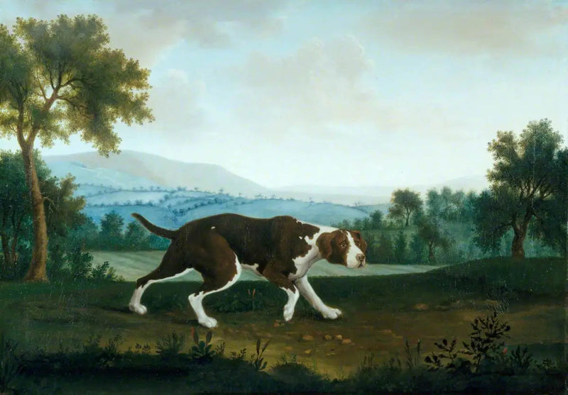 Der spanische Pointer - George Stubbs