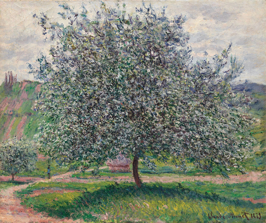 Übersetzter Titel nicht verfügbar - Claude Monet