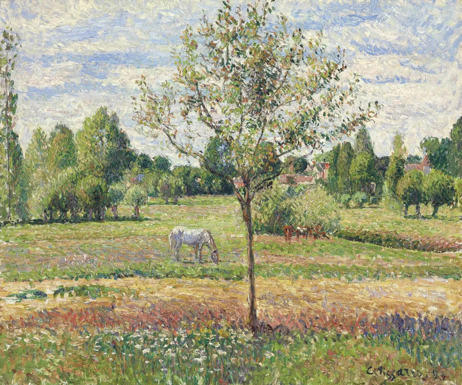 Die Wiese mit dem Grauen Pferd, Éragny - Camille Pissarro