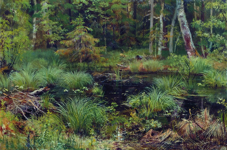 Der Frühling im Wald - Ivan Chichkine