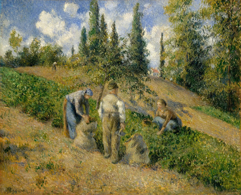 Die Ernte, Pontoise - Camille Pissarro