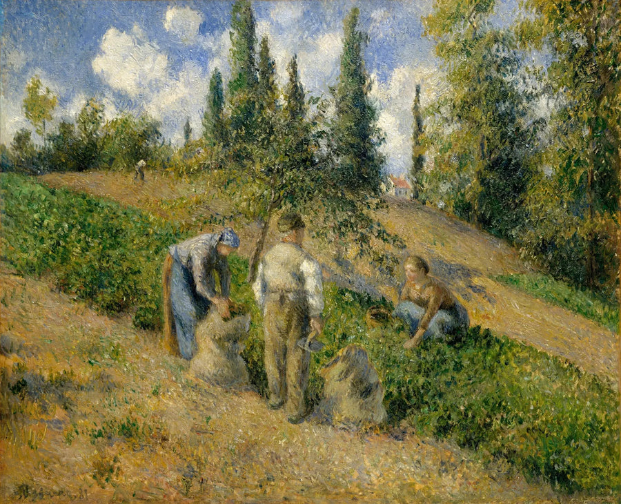Die Ernte, Pontoise - Camille Pissarro