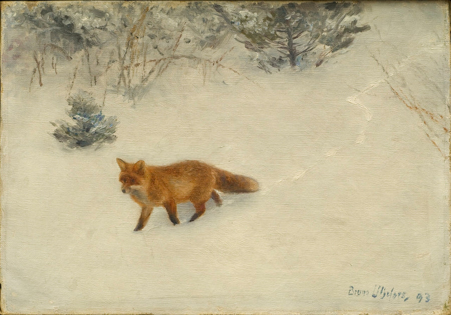 Der Fuchs – Bruno Liljefors
