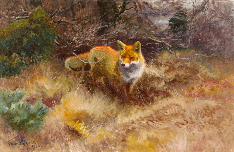 Der Fuchs und die Landschaft – Bruno Liljefors
