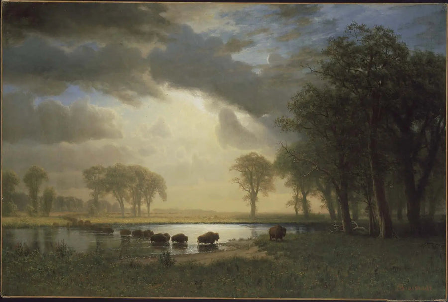 Der Pfad des Bisons - Albert Bierstadt