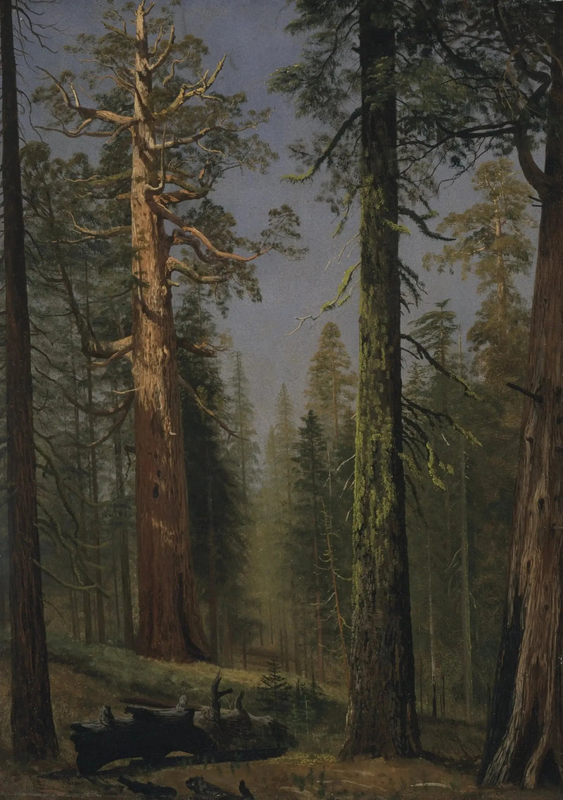 Der riesige Mammutbaum Grizzly, Mariposa Grove, Kalifornien - Albert Bierstadt