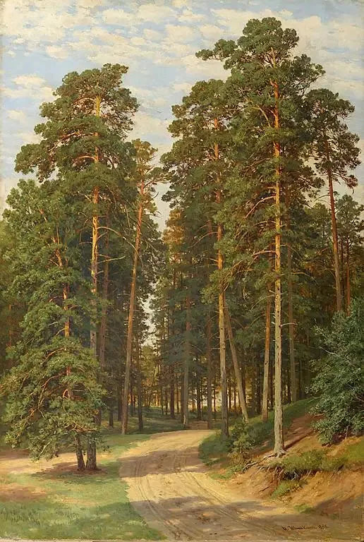Die Sonne im Wald - Ivan Chichkine