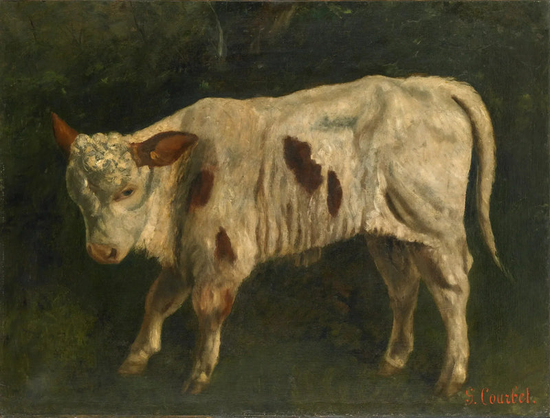 Das weiße Kalb - Gustave Courbet