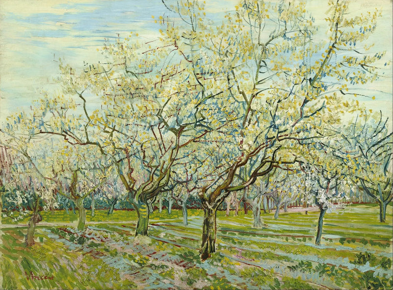 Der weiße Obstgarten - Vincent van Gogh