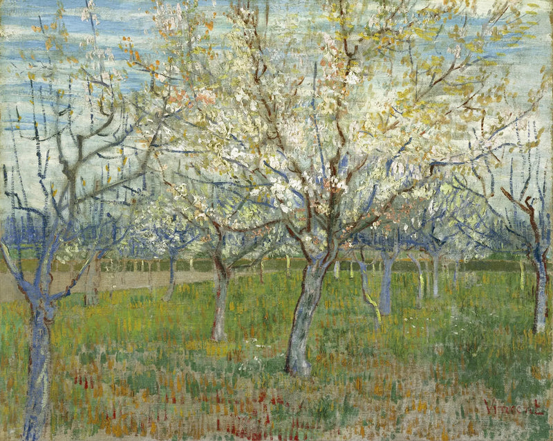 Der rosafarbene Obstgarten - Vincent van Gogh
