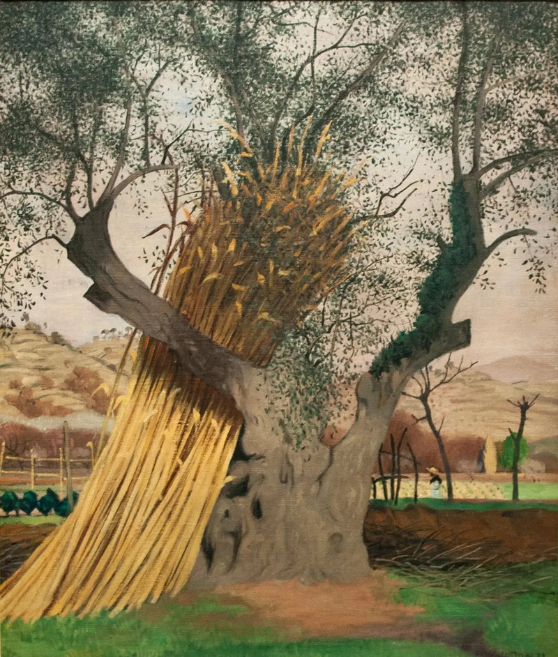 Der alte Olivenbaum - Félix Vallotton