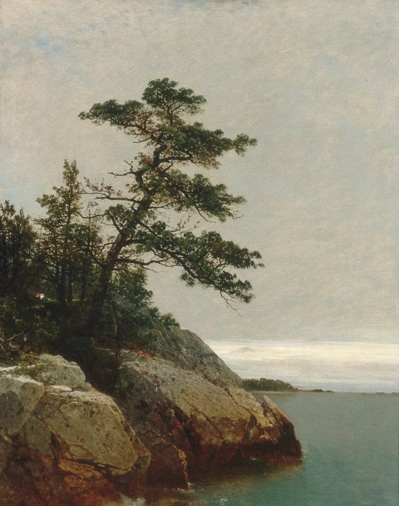 Der alte Kiefernbaum, Darien, Connecticut - John Frederick Kensett
