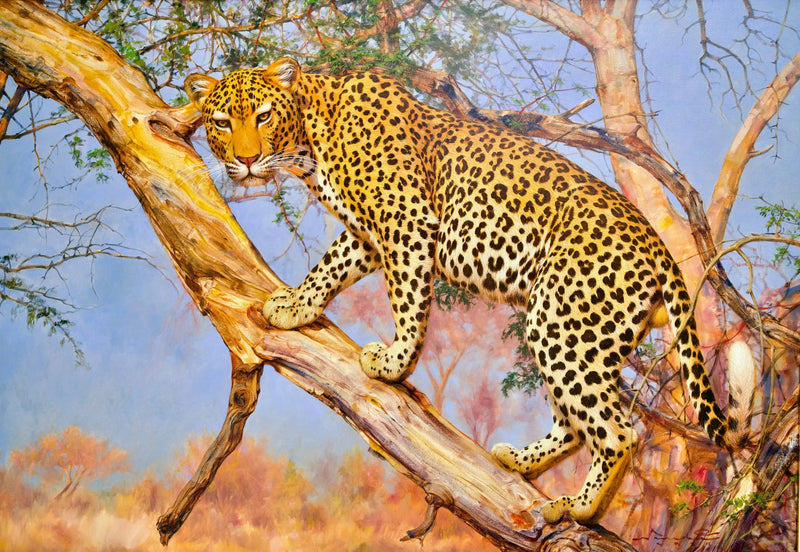 Leopard auf einem Baum | 150 x 100 cm