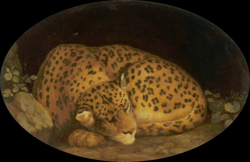 Schlafender Leopard - George Stubbs