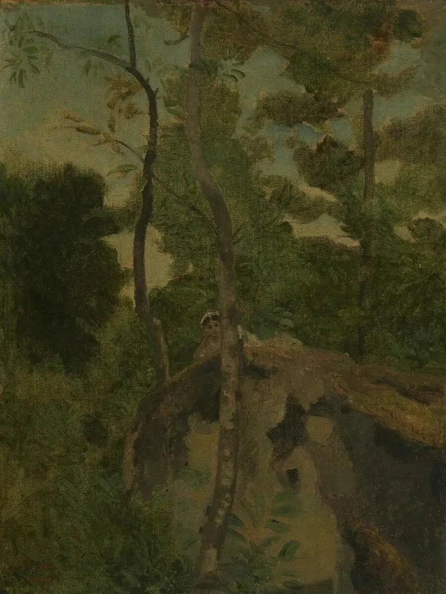 Les Alinges. Junge Frau liegend auf einem Felsen unter den Bäumen - Jean-Baptiste Camille Corot