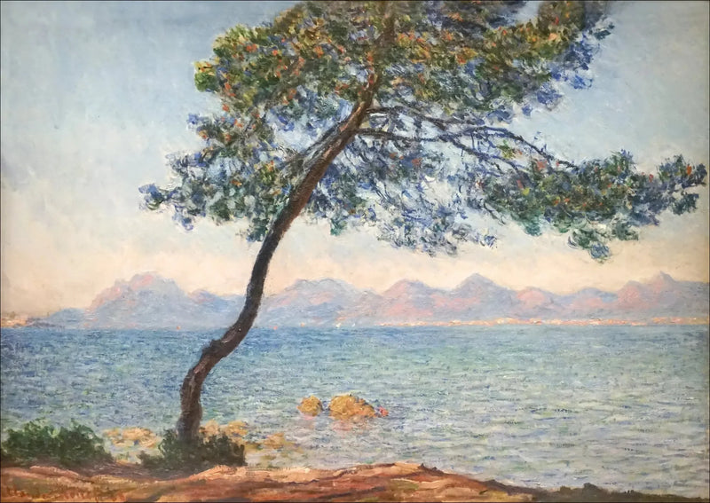 Die antibakteriellen - Claude Monet